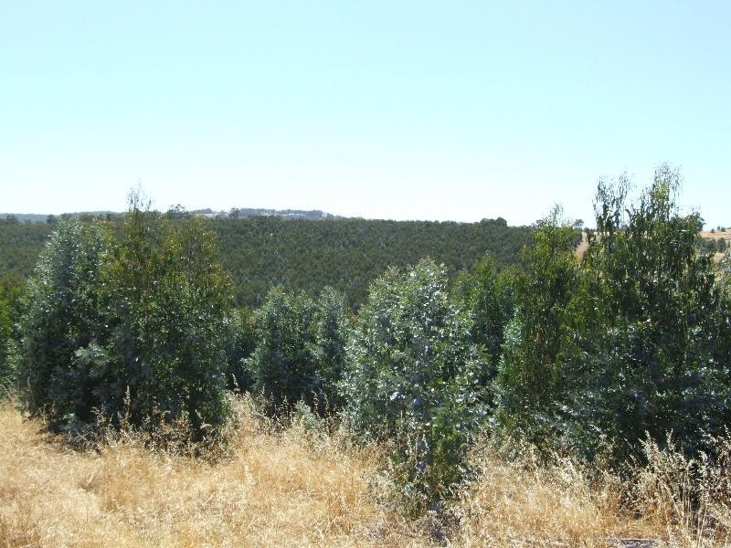 Lot 4223,  Ferguson Road, Lowden WA 6240