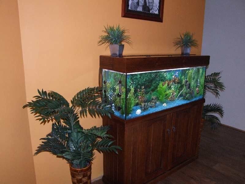 33 Salmon Gum Retreat, Donnybrook WA 6239