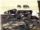 Lot 440, 1 Crendon rd, Donnybrook WA 6239