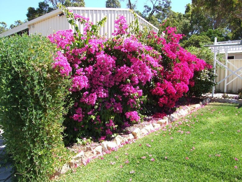 47 Steere Street, Donnybrook WA 6239