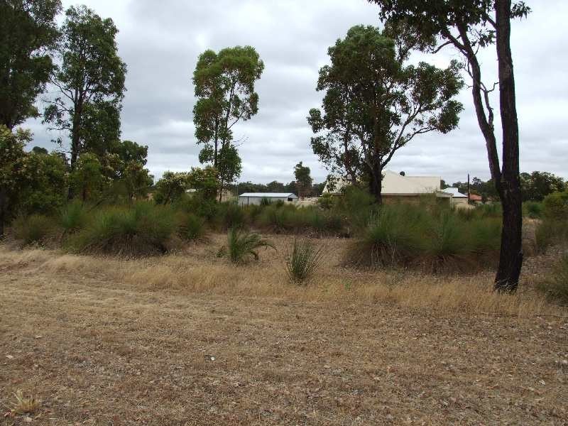 Lot 92, 39 Lecshenaultia Circle, Donnybrook WA 6239