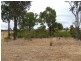 Lot 92, 39 Lecshenaultia Circle, Donnybrook WA 6239