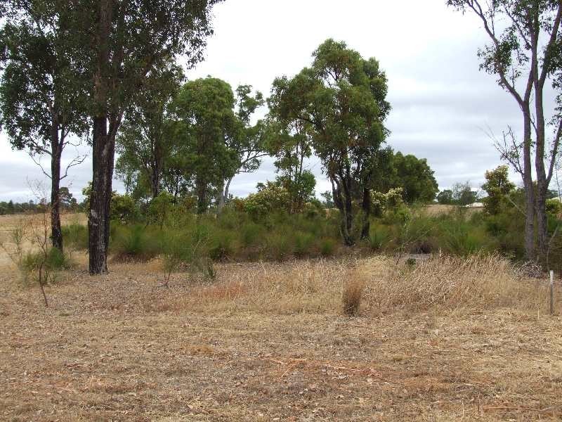 Lot 92, 39 Lecshenaultia Circle, Donnybrook WA 6239
