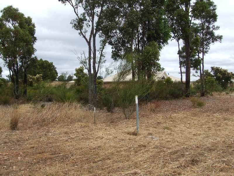 Lot 92, 39 Lecshenaultia Circle, Donnybrook WA 6239