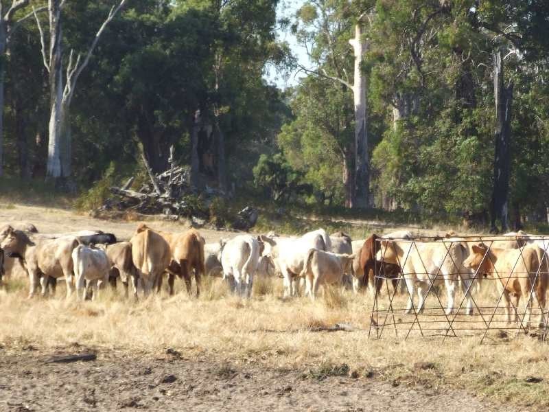 Lot 489,  Upper Capel Road, Donnybrook WA 6239