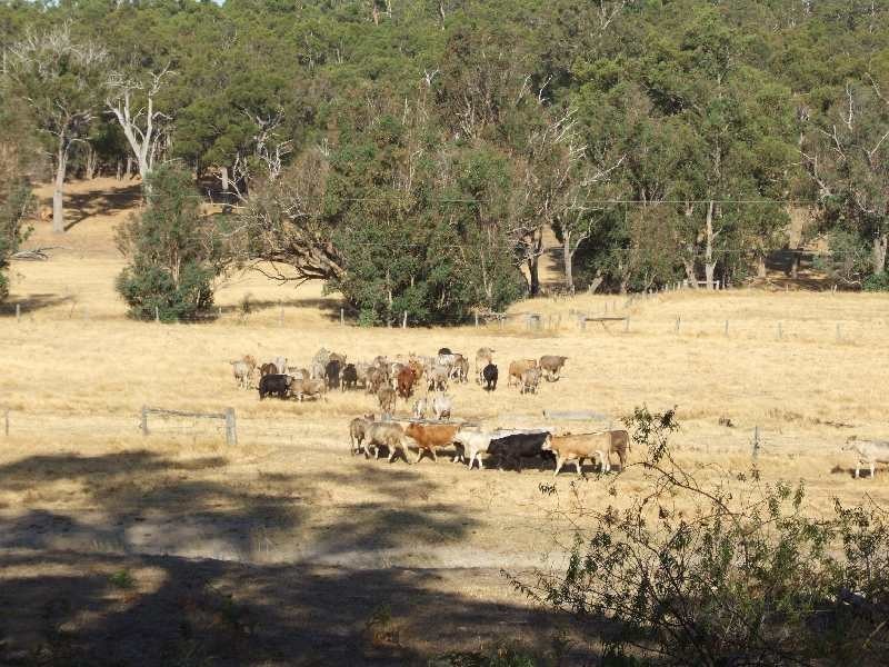 Lot 489,  Upper Capel Road, Donnybrook WA 6239