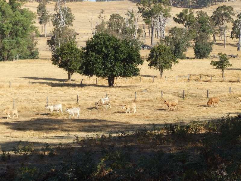 Lot 489,  Upper Capel Road, Donnybrook WA 6239