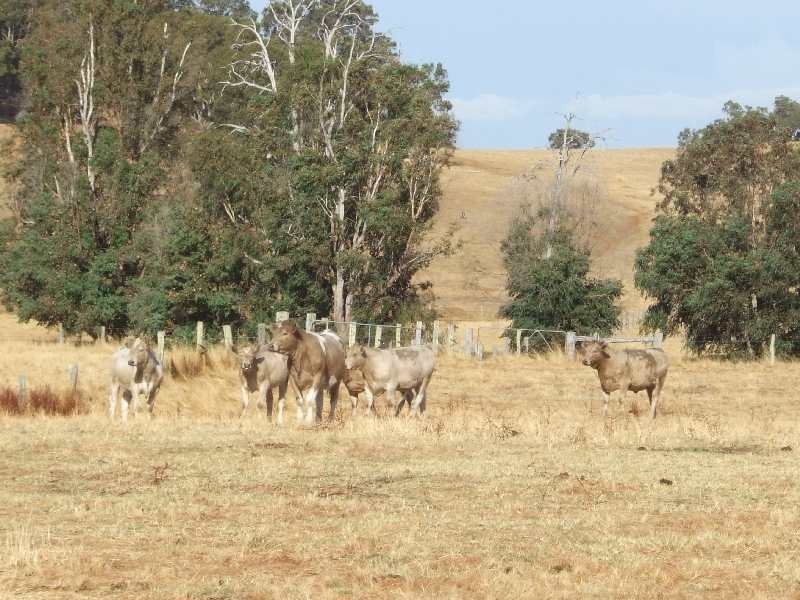 Lot 598,  Upper Capel Road, Donnybrook WA 6239