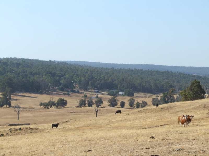 Lot 10,  Old Goldfields Road, Donnybrook WA 6239