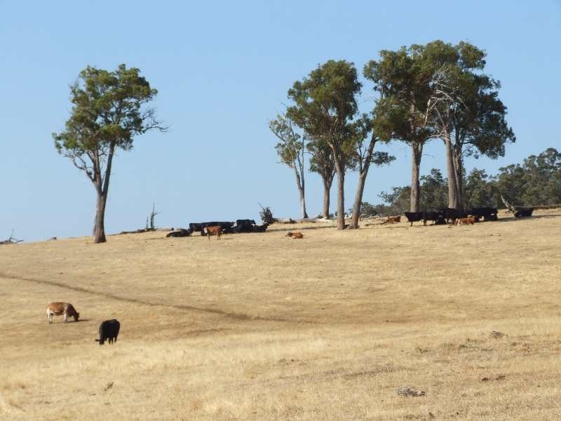 Lot 10,  Old Goldfields Road, Donnybrook WA 6239