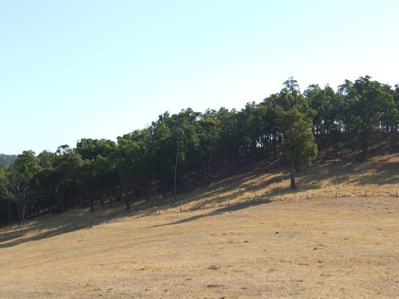 Lot 10,  Old Goldfields Road, Donnybrook WA 6239