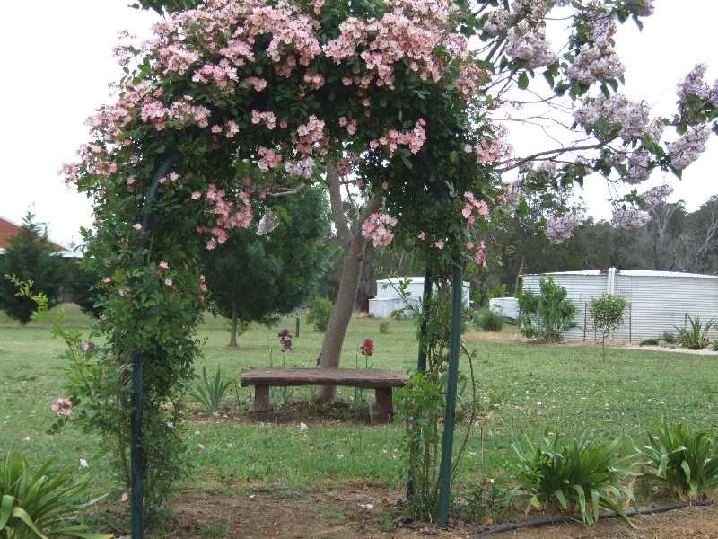 Lot 40, 10 Jones, Yabberup WA 6239