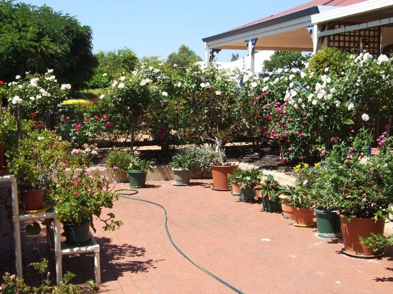 85 Leschenaultia, Donnybrook WA 6239