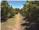 Lot 328,  Shenton Rd, Boyanup WA 6237