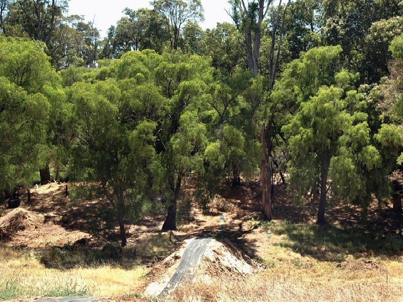 Lot 328,  Shenton Rd, Boyanup WA 6237
