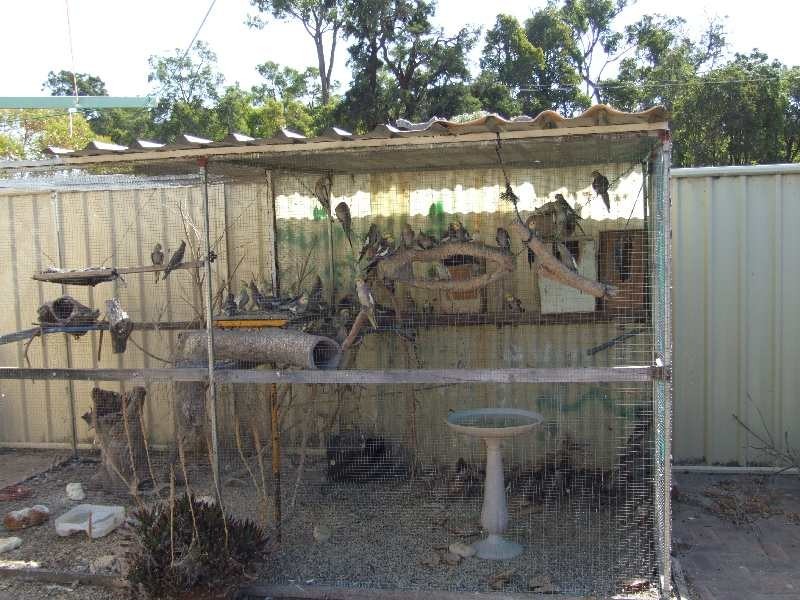 11 Cracknell Place, Donnybrook WA 6239