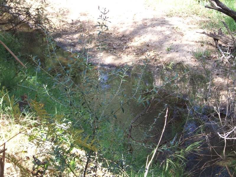 Lot 989, 32 Bendall, Donnybrook WA 6239