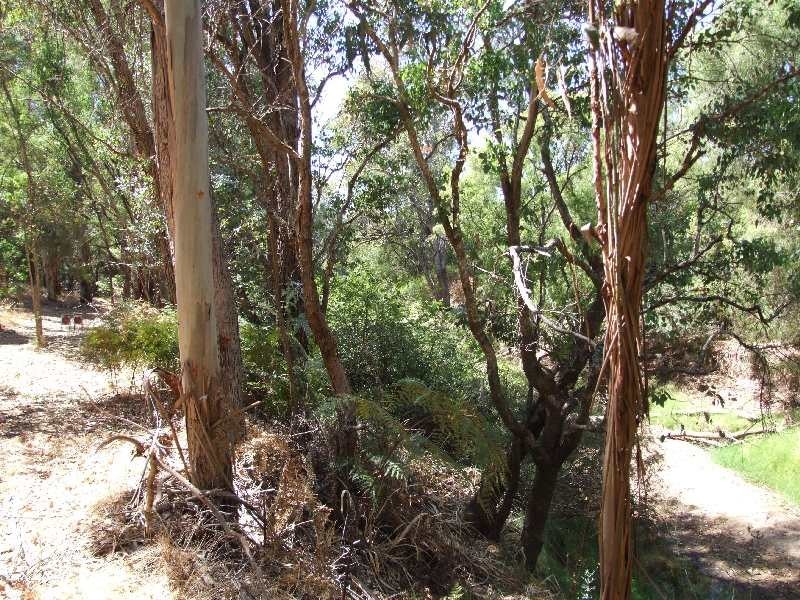 Lot 989, 32 Bendall, Donnybrook WA 6239