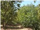 Lot 989, 32 Bendall, Donnybrook WA 6239