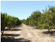 Lot 989, 32 Bendall, Donnybrook WA 6239
