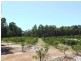 Lot 989, 32 Bendall, Donnybrook WA 6239