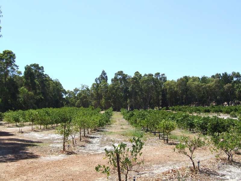 Lot 989, 32 Bendall, Donnybrook WA 6239