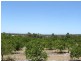 Lot 989, 32 Bendall, Donnybrook WA 6239