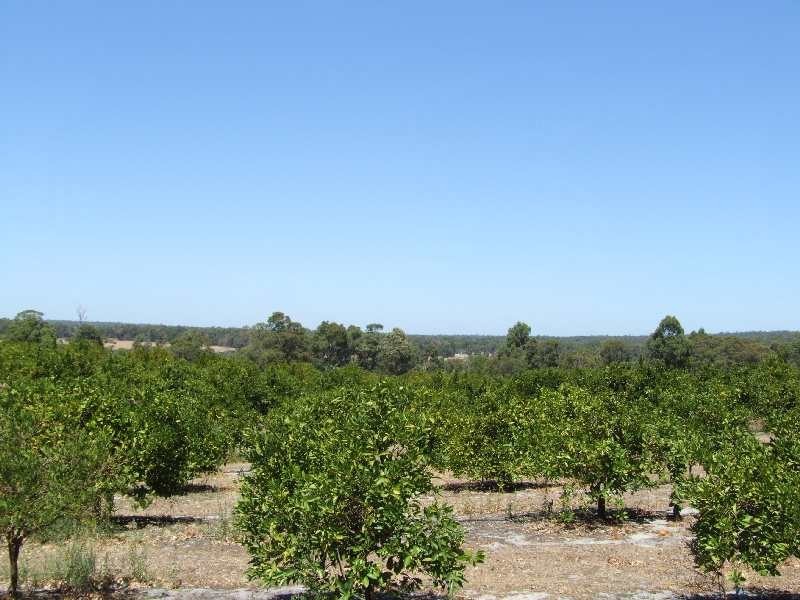 Lot 989, 32 Bendall, Donnybrook WA 6239