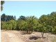 Lot 989, 32 Bendall, Donnybrook WA 6239