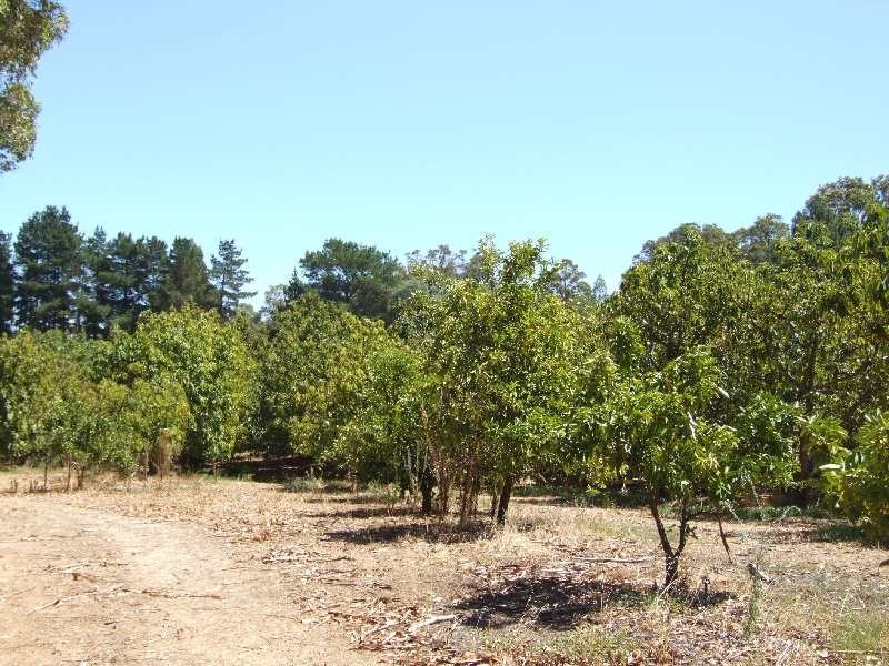 Lot 989, 32 Bendall, Donnybrook WA 6239