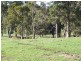 2368 Boyup Brook Rd, Donnybrook WA 6239