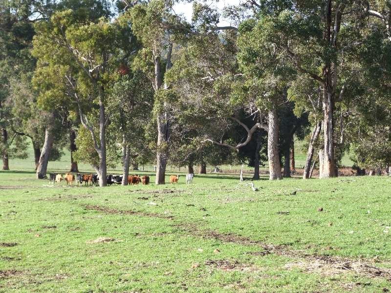 2368 Boyup Brook Rd, Donnybrook WA 6239