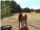2368 Boyup Brook Rd, Donnybrook WA 6239