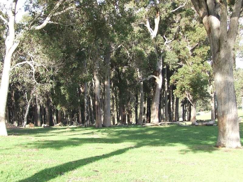 2368 Boyup Brook Rd, Donnybrook WA 6239
