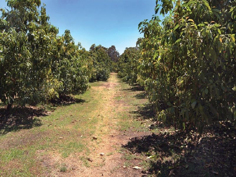 Lot 328 Shenton Rd, Boyanup WA 6237