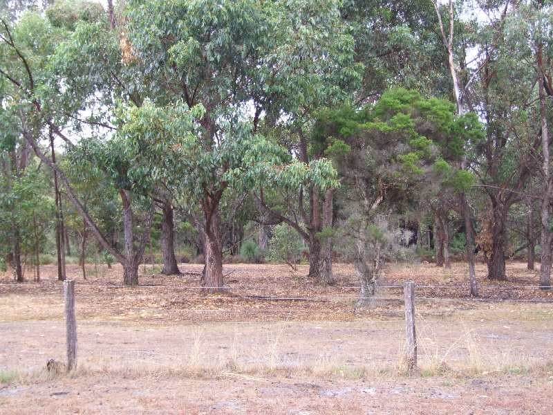 Lot 18, 128 marshall Road, Argyle WA 6239