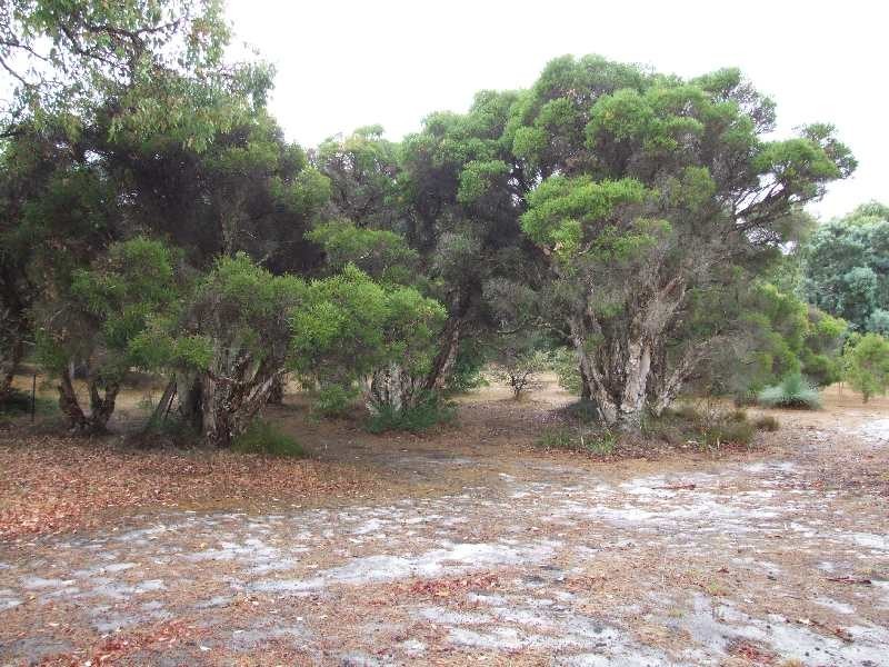 Lot 18, 128 marshall Road, Argyle WA 6239