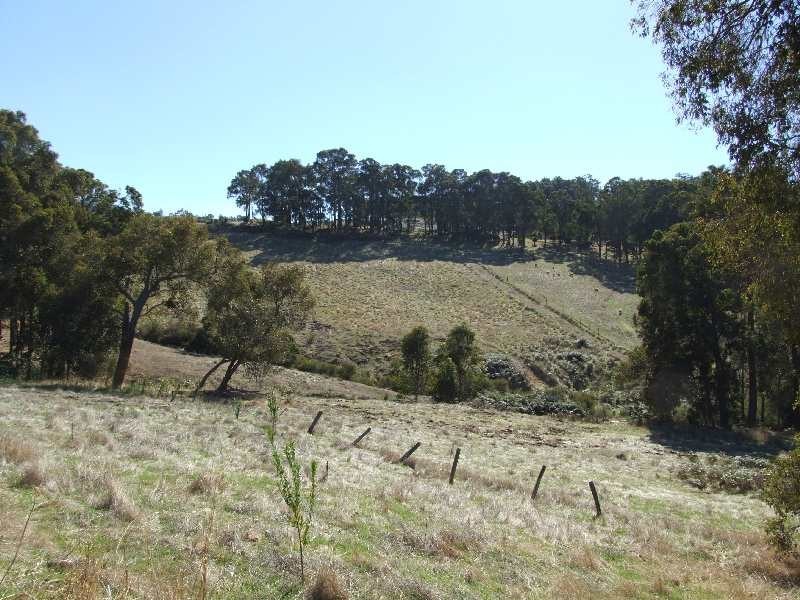 Lot 4, 4 Eastman Road, Thomson Brook WA 6239
