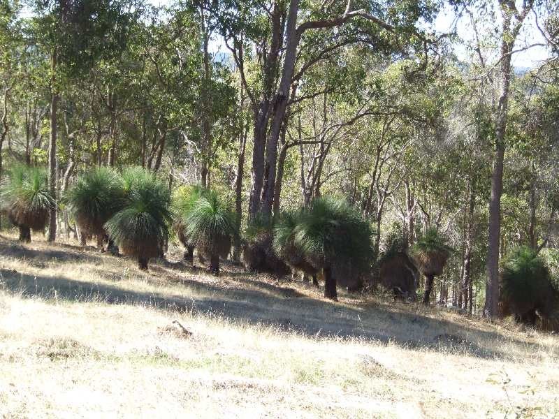 Lot 4, 4 Eastman Road, Thomson Brook WA 6239