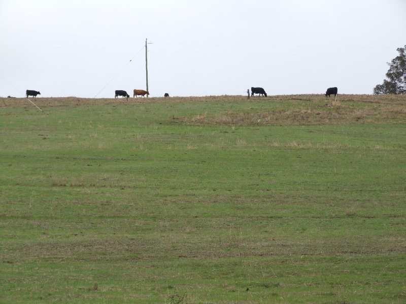 Lot 196, 900 Charley Creek Road, Donnybrook WA 6239