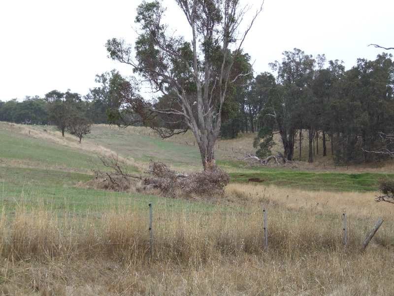 Lot 196, 900 Charley Creek Road, Donnybrook WA 6239