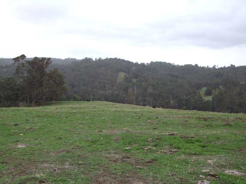 Lot 196, 900 Charley Creek Road, Donnybrook WA 6239