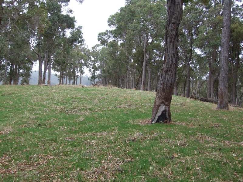 Lot 196, 900 Charley Creek Road, Donnybrook WA 6239