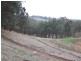 Lot 196, 900 Charley Creek Road, Donnybrook WA 6239