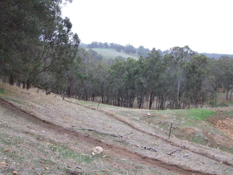 Lot 196, 900 Charley Creek Road, Donnybrook WA 6239