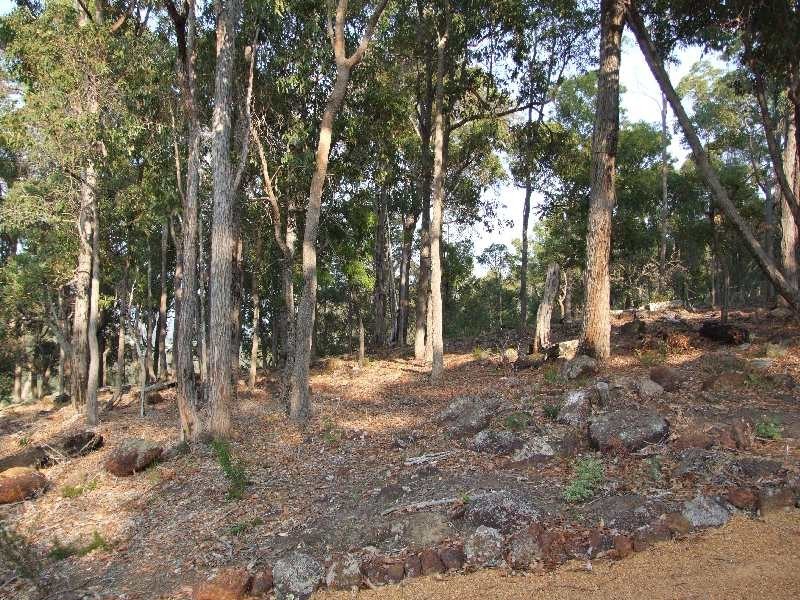 99 Hetherington Road, Argyle WA 6239