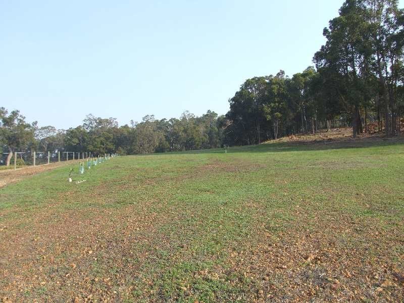 99 Hetherington Road, Argyle WA 6239