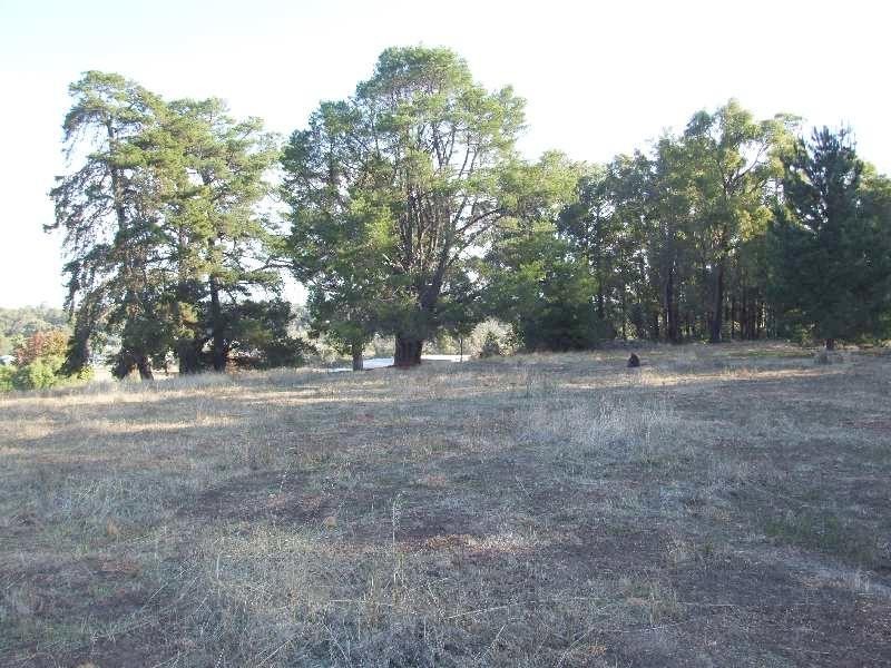 Lot 1184, Rowe Street, Collie WA 6225