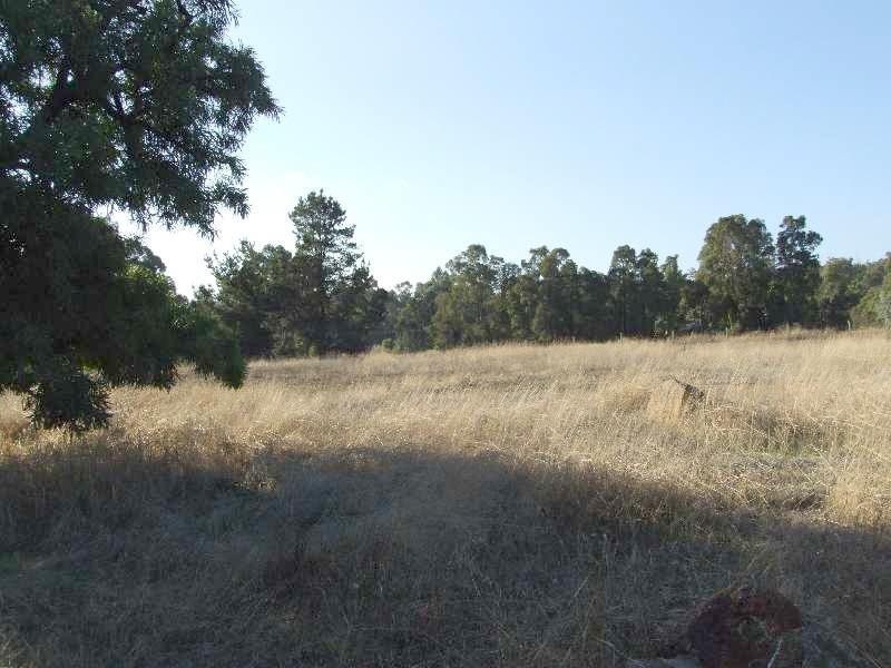 Lot 1184, Rowe Street, Collie WA 6225