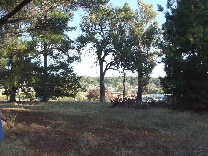 Lot 1184, Rowe Street, Collie WA 6225